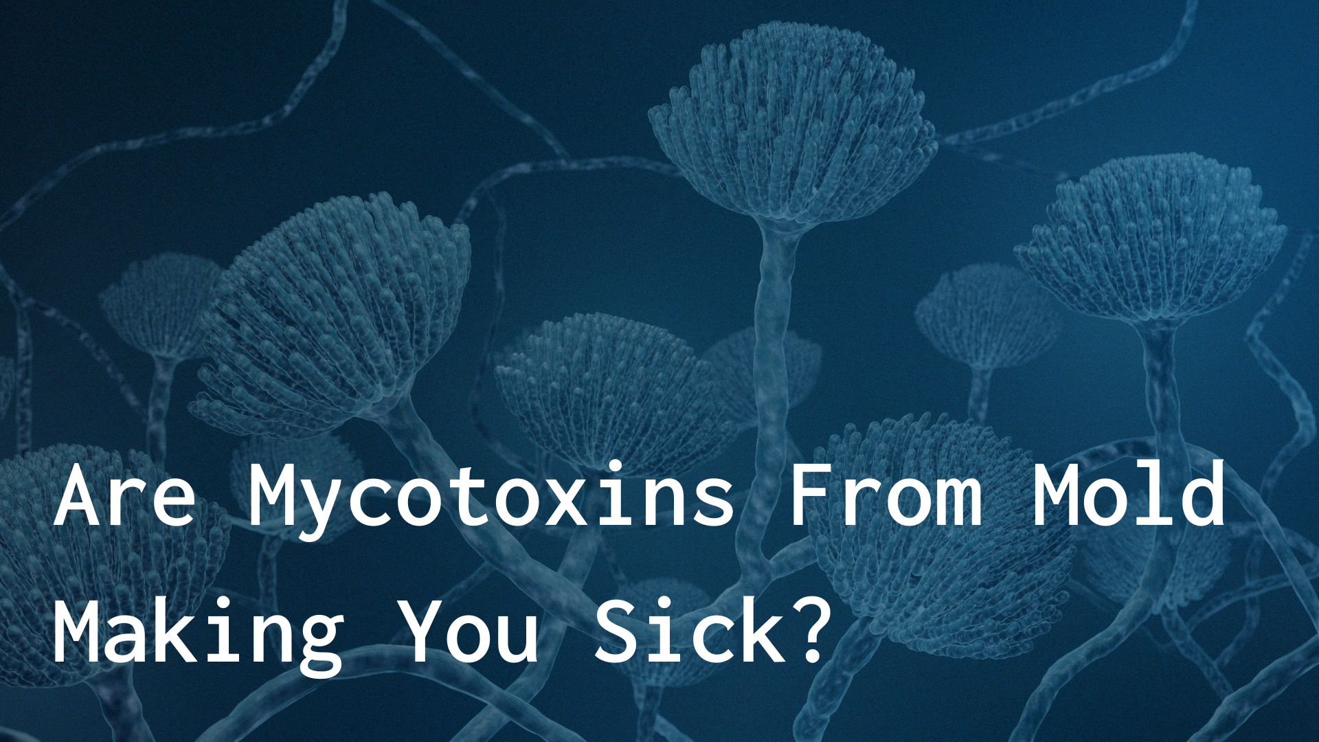 Are Mycotoxins from molds making you sick?