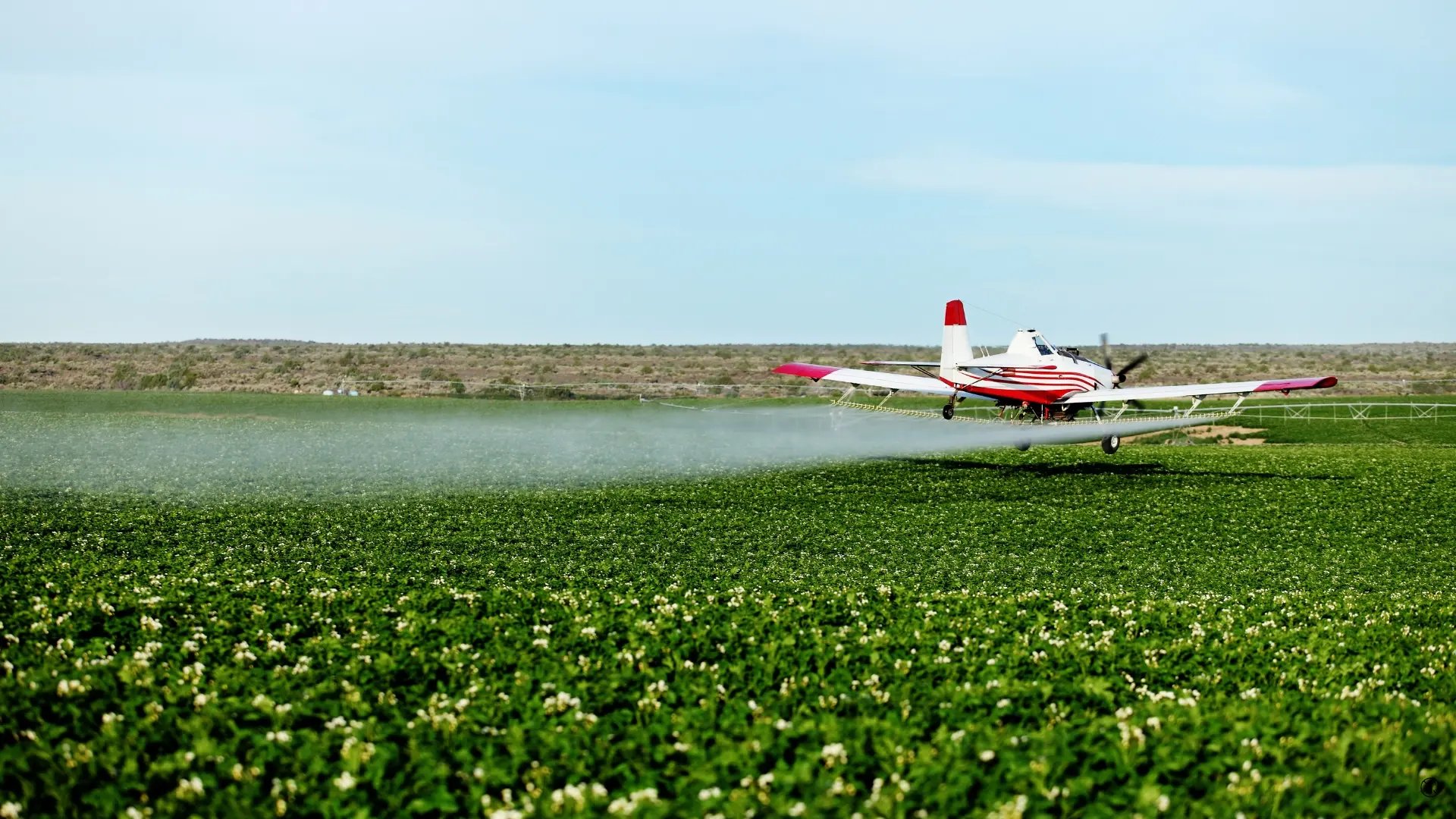 Crop Dusting