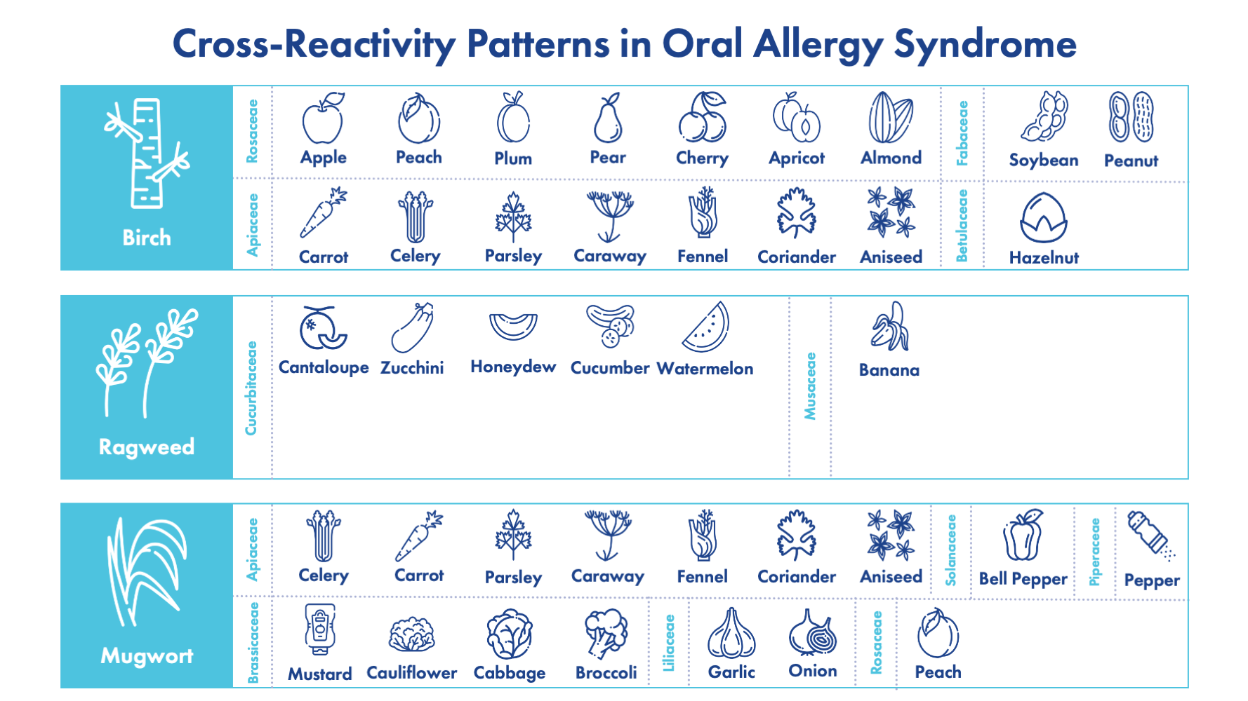ragweed allergy food cross reactivity