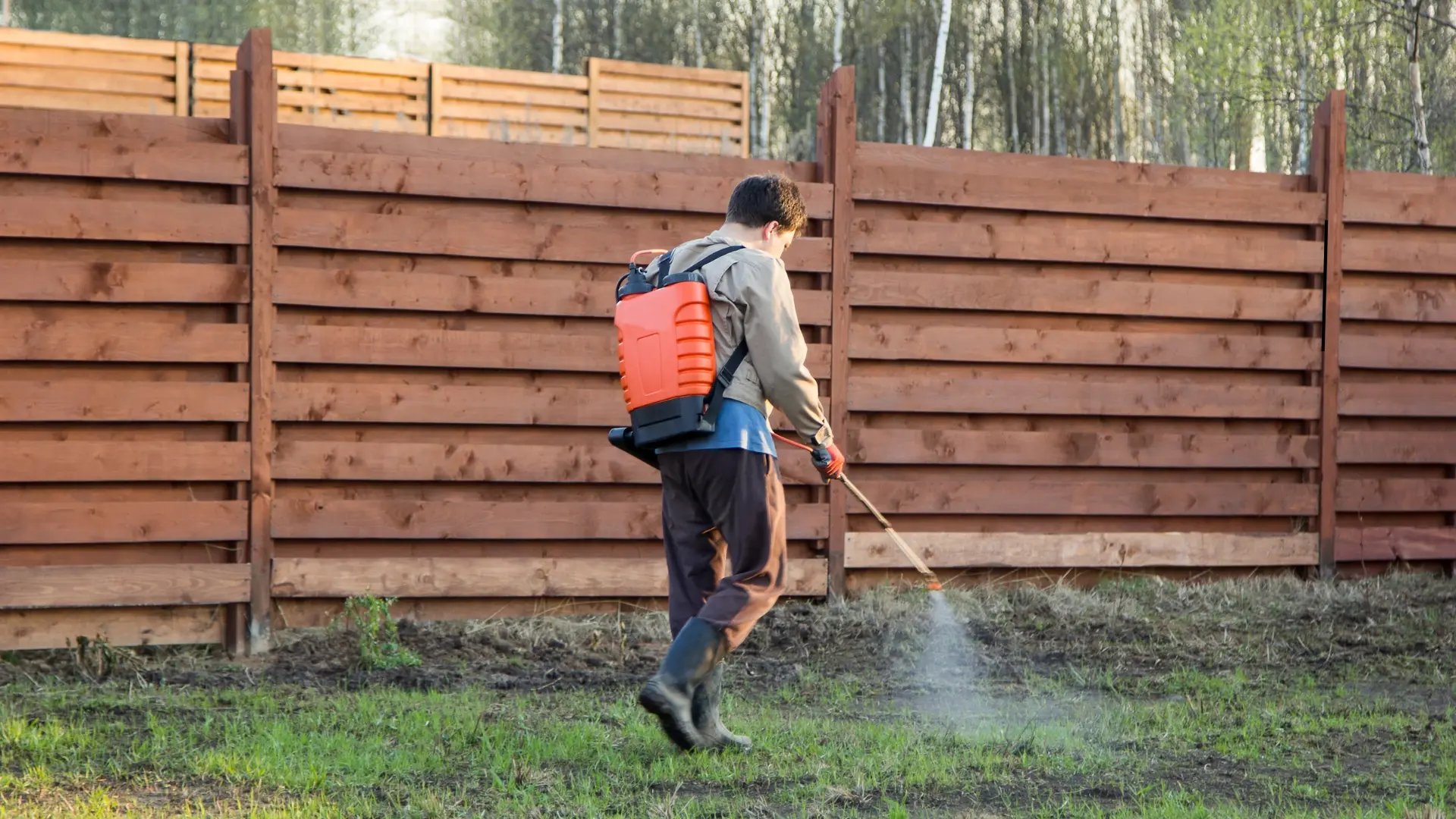 A person sprays pesticides on their lawn. This is a common vector of glyphosate exposure.