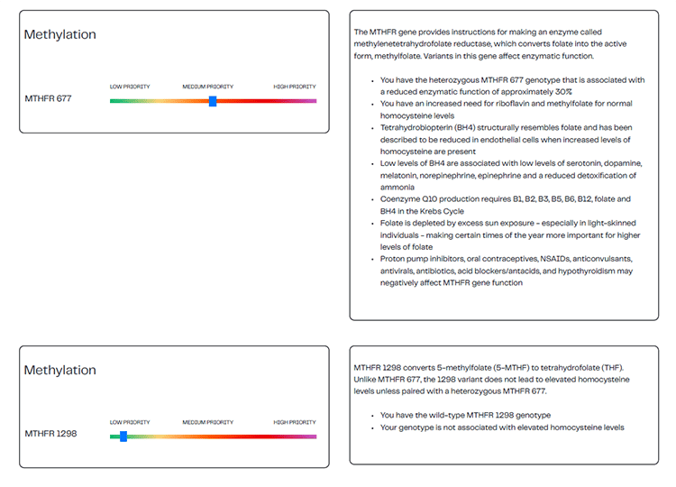 MethylationIQ2-1