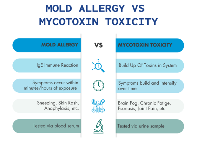 Mold Allergy vs. Mycotoxins