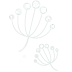 Mycotoxin Pillar Page