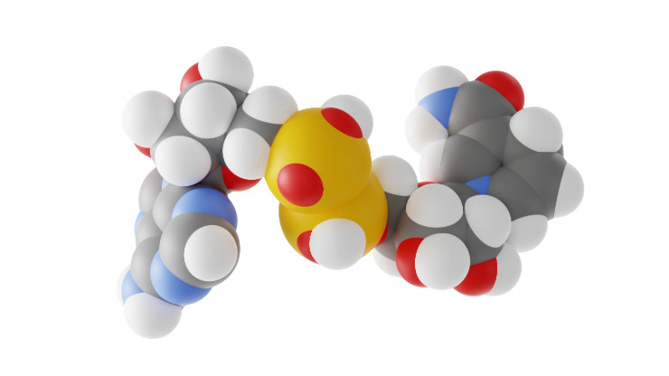 NADH Molecule